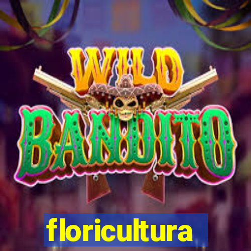 floricultura juazeiro bahia